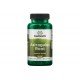 SWS-01504 - Astragalus Root 470 mg 100 Capsules в категория Възпаления.