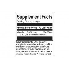 Fast-Acting Vitamin B-12 60 таблетки Fast-Acting Vitamin B-12 60 таблетки