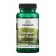 SWS-11808 - Mullein Leaf Extract 250 mg 60 Capsules в категория Респираторно