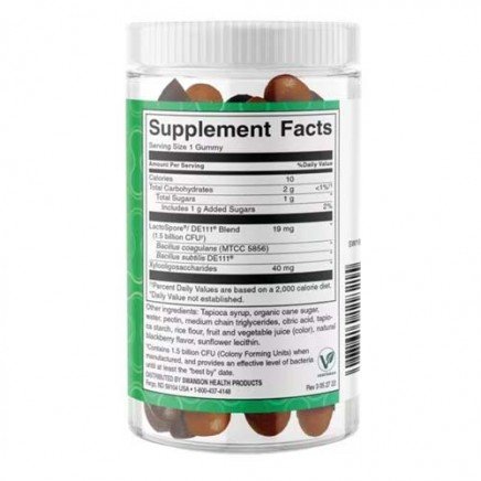- Probiotic + Prebiotic 60 Gummies в категория Пробиотици и