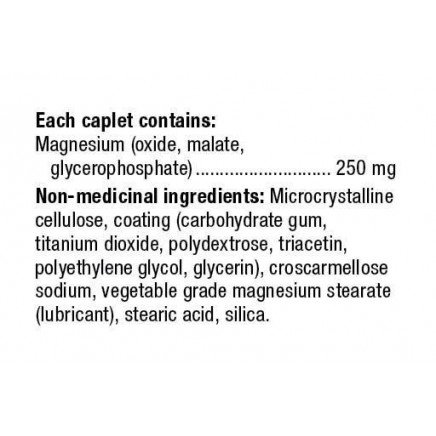 WBR-03163 - Magnesium 250 mg 100 caplets в категория Минерали. Магнезий