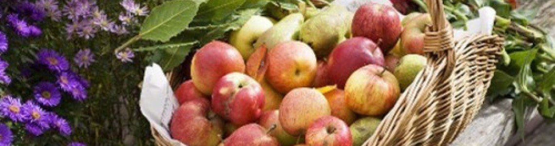 Да приготвим нещо вкусно с ябълки!