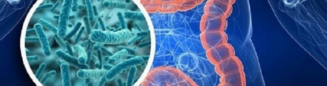 За антибиотиците и техните опоненти – пробиотиците