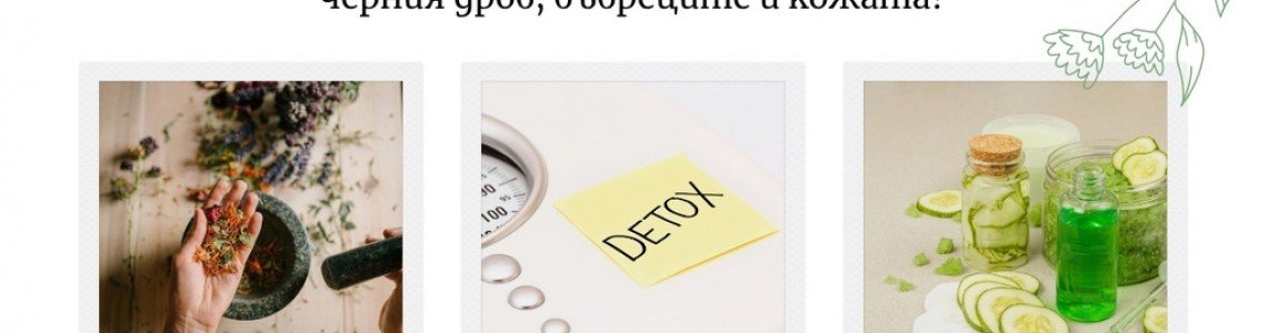 Детокс с билки – кои растения прочистват черния дроб, бъбреците и кожата