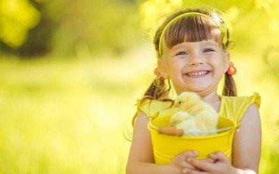 Топ 10 предимства на вегетарианска диета