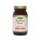 BUL-23364 - Зелен чай 400 мг 60 капсули Bulgaricus в категория .