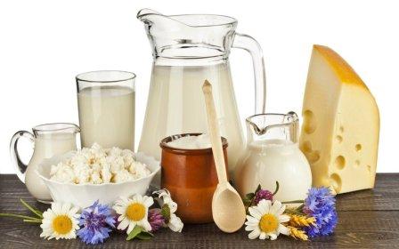 Пробиотици и пребиотици има в млякото и млечните продукти
