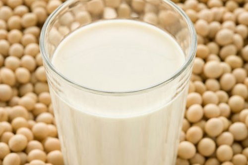 Соевите млечни продукти ще помогнат през целия период на пост да се заменят млечните продукти от краве мляко.