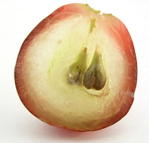 Гроздето е плод, които не съдържа мазнини, наситени мазнини, натрий и холестерол.