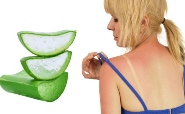 Aloe Vera Bio Juice на топ цена помага при изгаряния и рани