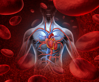 Inositol на топ цена подобрява кръвообащението и намалява холестерола