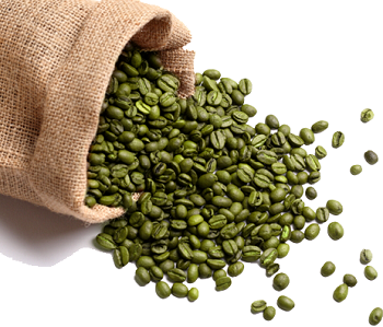 Зелено кафе Екстракт от Bulgaricus има антиоксидантни свойства и намалява холестерола.