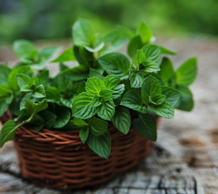 Detox от Cvetita Herbal помага за цялостна детоксикация на тялото и подпомага имунната система