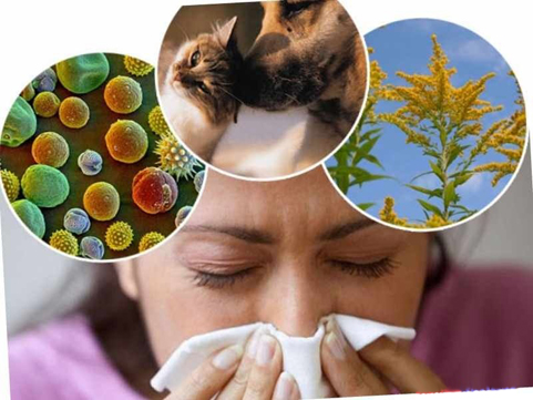 Bioactive Quercetin EMIQ на супер цена понижава нивото на хистамина и намалява алергичните симптоми