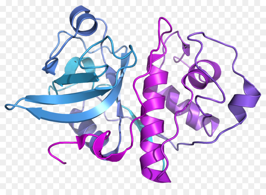 Papaya Enzymes With Amylase and Bromelain е комплекс от храносмилателни ензими, подпомагащ функциите на храносмилателната система