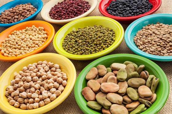 Alive Organic Plant Protein на супер цена е растителен продукт, който въздейства положително на целия организъм