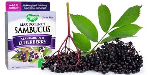 Sambucus Max Potency 250 mg 18 softgels от Nature`s Way на чудесна цена съдържа свеж екстракт на черен бъз от уникални сортове, съдържащи повече флавоноиди