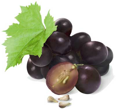 Grape Seed Antioxidant от Now Foods укрепва съдовите стени и нормализира нивото на колаген в кожата, сухожилията, хрущялите.
