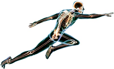 Magnesium Malate на Source Naturals подпомага състоянието на костите и мускулите