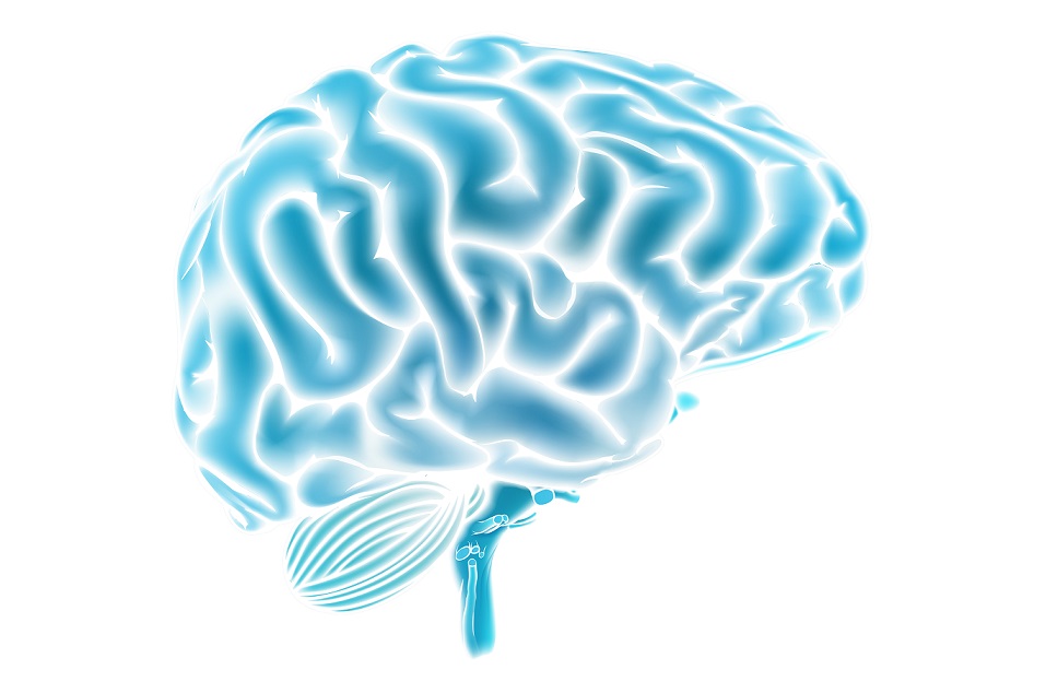 Мултивитамини и минерали от Together Health подобрява паметта и укрепва нервната система.