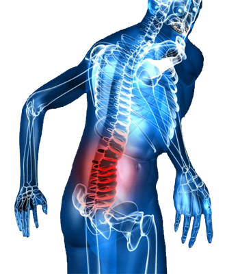 Osteo Back Pain Relief with InflamEase на супер цена намалява болките в гърба и кръста