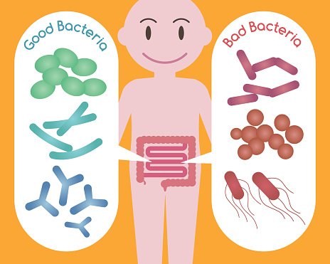 Пробиотик 50 млрд. активни пробиотици от Webber Naturals подобрява баланса на полезните и вредните бактерии в червата